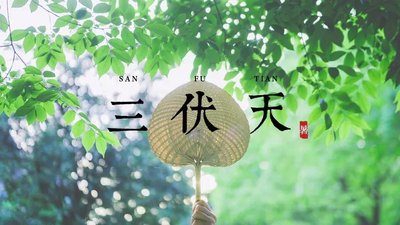 入伏后，牢记：喝1茶，吃2果，品3鲜