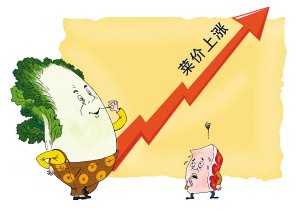 菜篮子危机：菜价暴涨背后的真相！