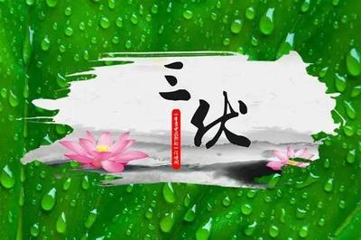 明天入伏，建议大家：少吃西瓜和生姜，多吃这5样，为三伏天打好基础！