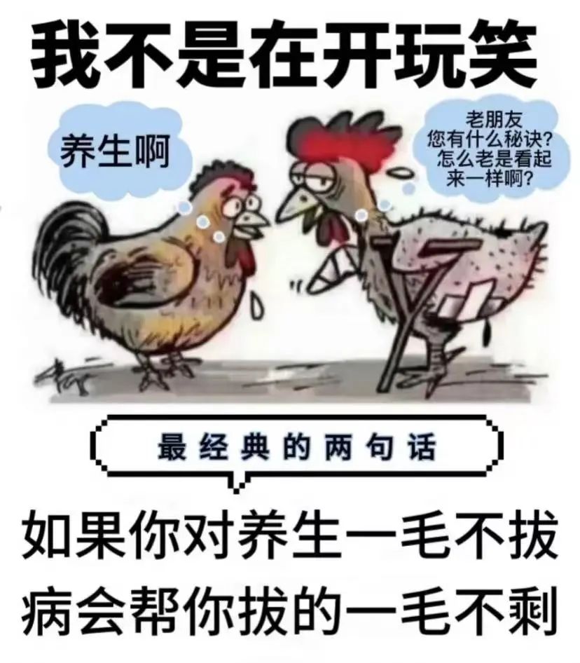 养生是人类最高级的活法